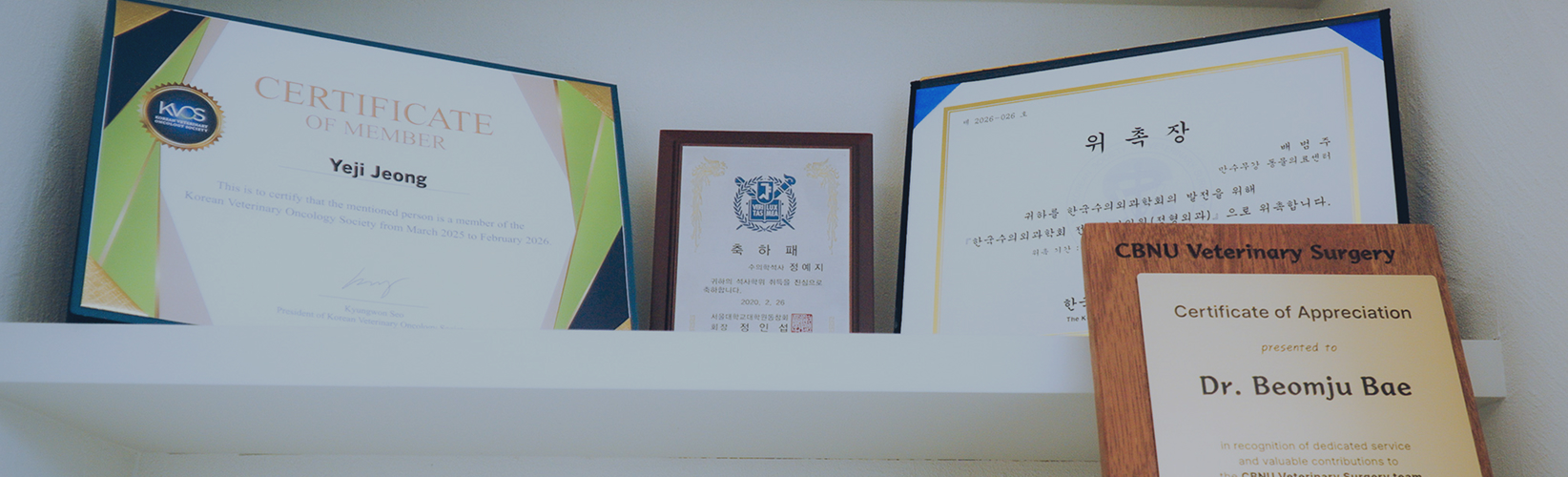 의료진의 수료증, 인증서, 위촉장이 놓여 있는 진열 선반