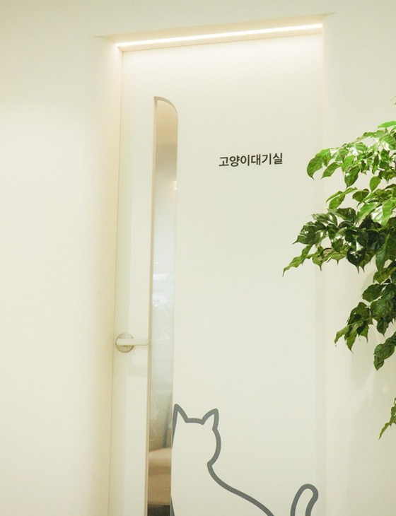 고양이 대기실 사진